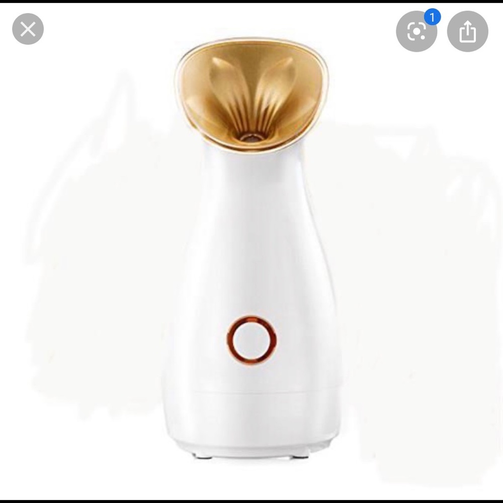Facial steamer
